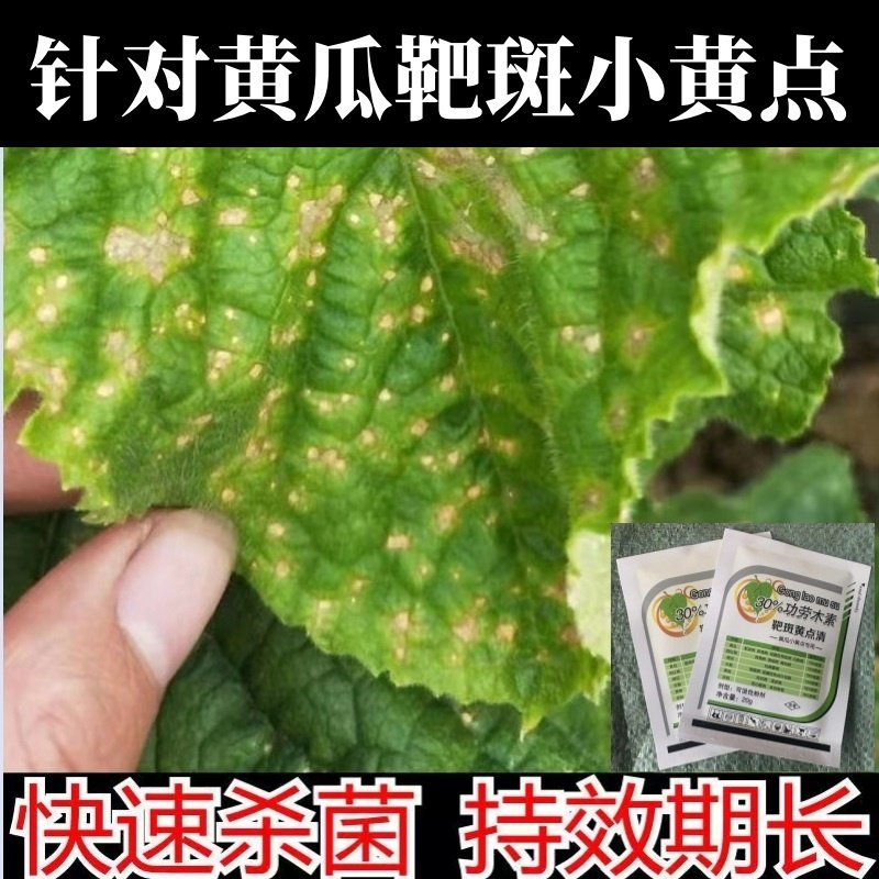 黄瓜靶斑小黄点角斑黄瓜小黄点白粉靶斑黄点清蔬菜黄点功劳木素,农用物资,叶面肥,淘宝优惠券,粉丝福利购,淘宝优惠卷
