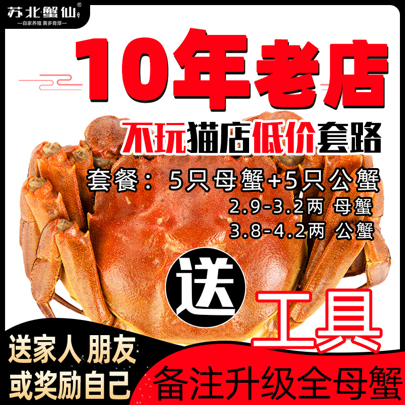 江苏泰州兴化红膏大蟹特级大闸蟹鲜活螃蟹4两特大满黄礼盒高端