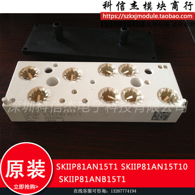 模块现货 SKIIP81AN15T1 SKIIP81AN15T10 SKIIP81ANB15T1