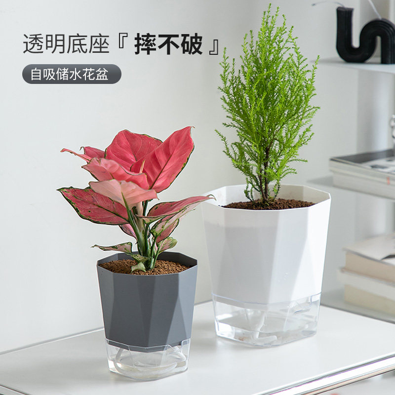 自吸水懒人盆免浇水桌面简约透明水培花盆吊兰绿萝文竹发财树脂盆