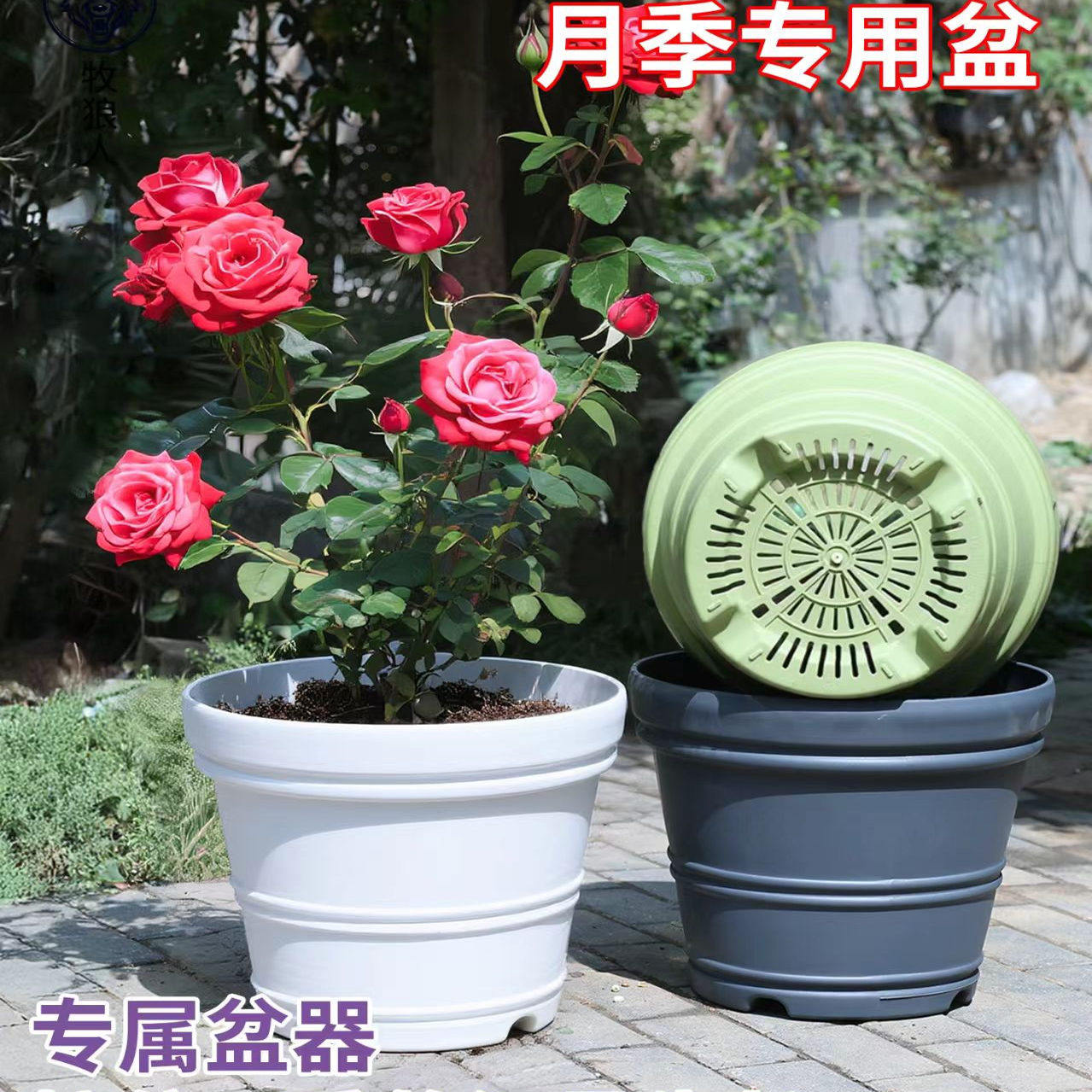 蓝莓大号盆铁线莲花盆天台阳台户外庭院种果树月季绣球特大号花盆