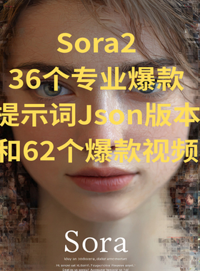 Sora2爆款专业Json提示词 AI视频工具箱/知识库