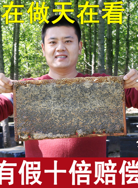 老巢蜜蜂巢蜜嚼着吃盒装500g野生纯正天然蜂蜜巢素农家自产丰蜂窝