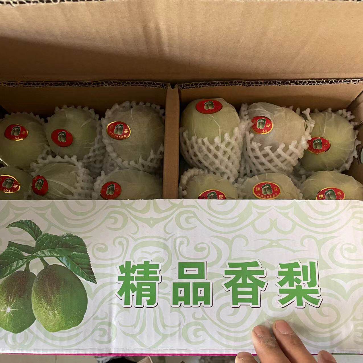 【品尝它才知道以前买的有多假】正宗库尔勒香梨中小果带箱9斤装