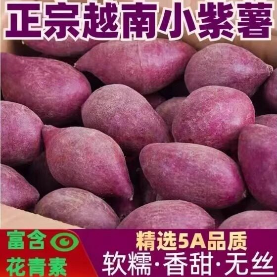 【超好吃不粉包赔】粉糯香甜新鲜紫薯越南珍珠紫薯小紫薯地瓜现货