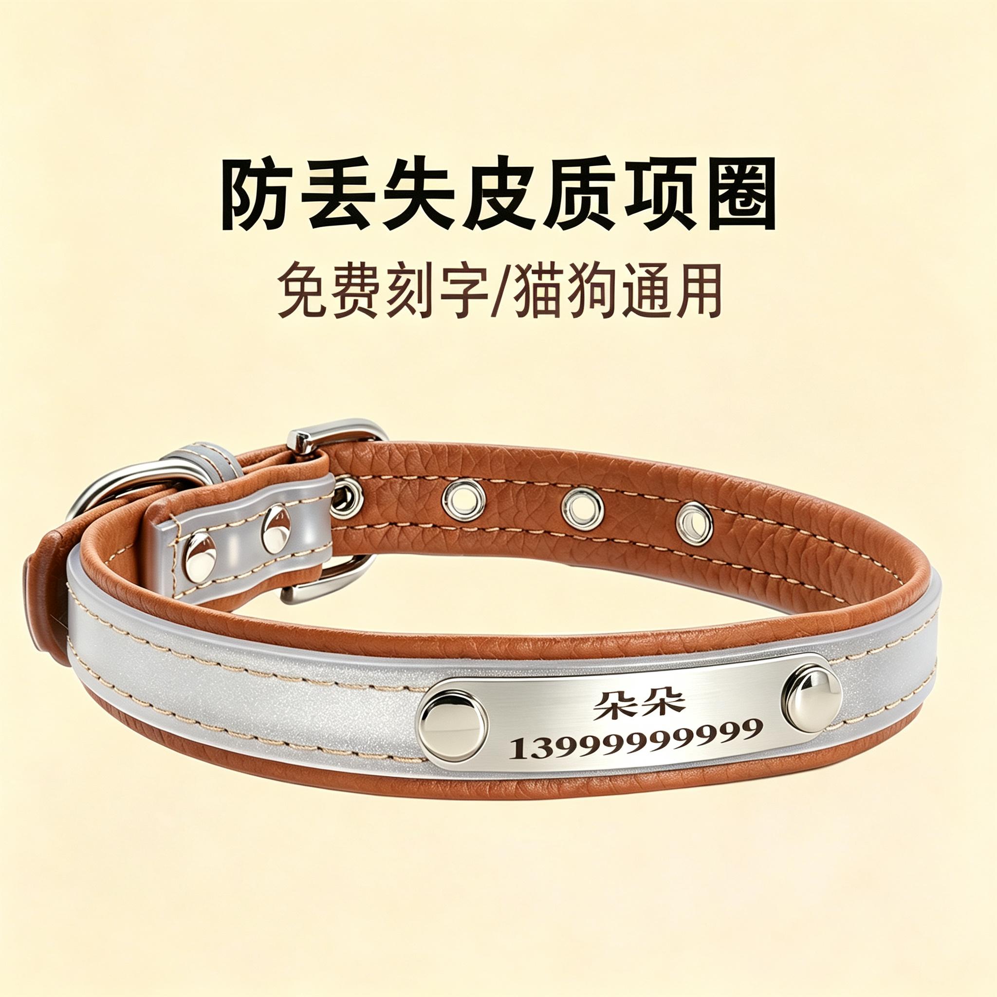 宠物定制防丢项圈反光刻名字图片