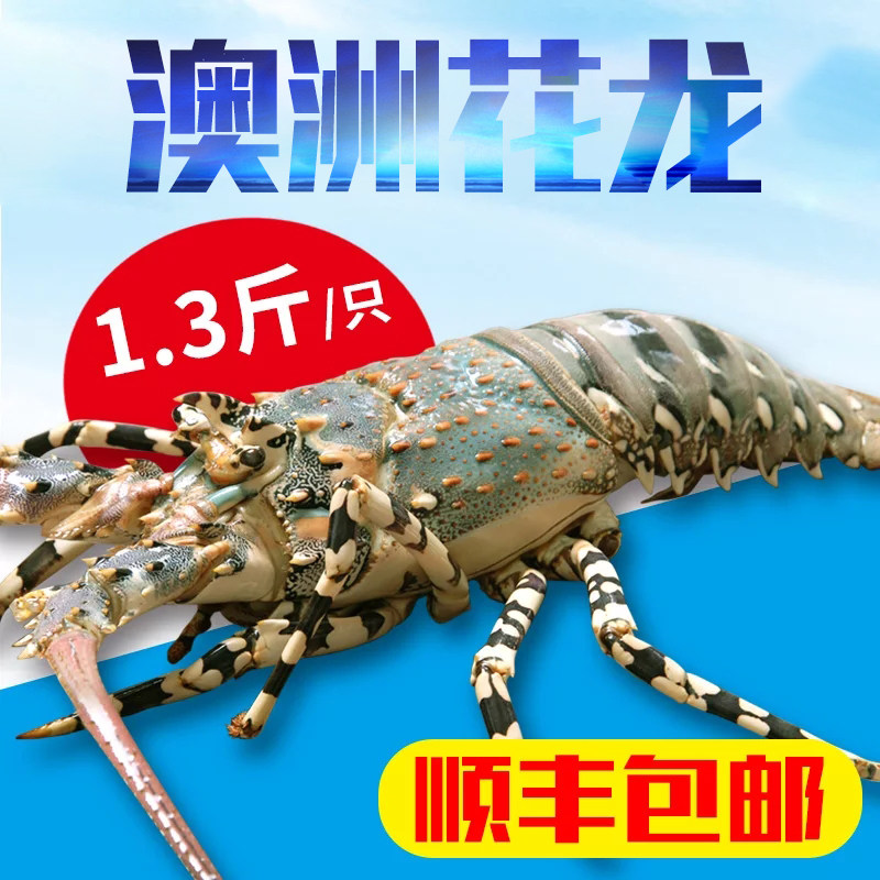 3斤只进口海鲜大龙虾 顺丰包邮