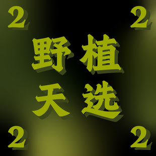 包邮 纵野 饰大型观叶植物 绿植盆栽室内装 2号直播专拍