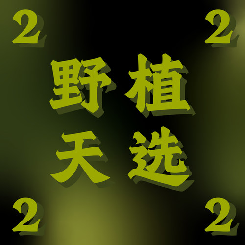 纵野/ 2号直播专拍 绿植盆栽室内装饰大型观叶植物包邮
