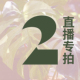 包邮 纵野 饰大型观叶植物 2号直播专拍 绿植盆栽室内装