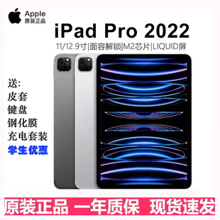英寸 iPad 24款 苹果 13寸平板电脑 22款 21款 Apple Pro2020款
