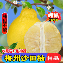 【纯甜】正宗梅州沙田柚广东梅县金柚子白心肉孕妇甜水果新鲜容县