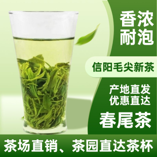 信阳毛尖26年新茶叶炒青绿茶雨前大叶茶口粮茶场直销500g袋装包邮