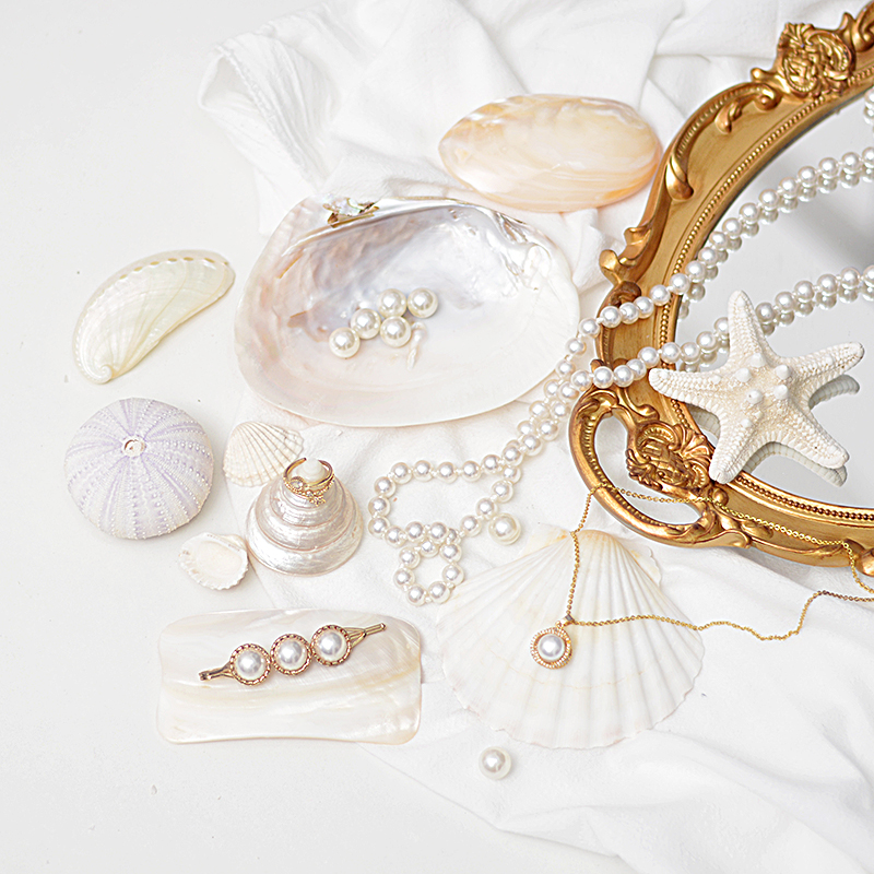 天然海贝海螺收纳装饰拍照道具