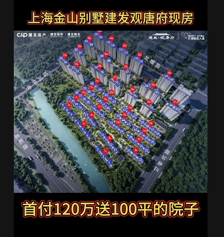上海金山建发观唐府别墅现房新房子地铁口学区房带院子70年产权