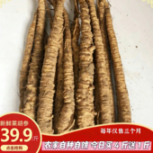 山东莱阳特产莱胡参新鲜北沙参农家自种野生药材药膳煲汤 500g 包邮