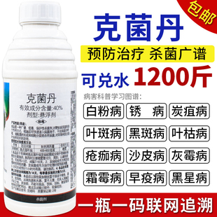 40%克菌丹杀菌剂防治炭疽病黑星树脂叶霉霜霉轮纹病斑点落叶病药