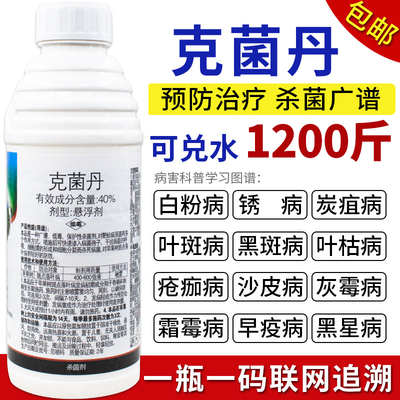 果优40克菌丹果树砂皮树脂炭疽