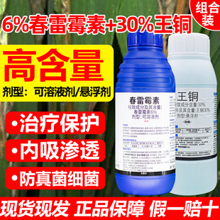 春雷王铜杀菌剂春雷霉素防治溃疡病细菌角斑病软腐病根腐病杀菌药