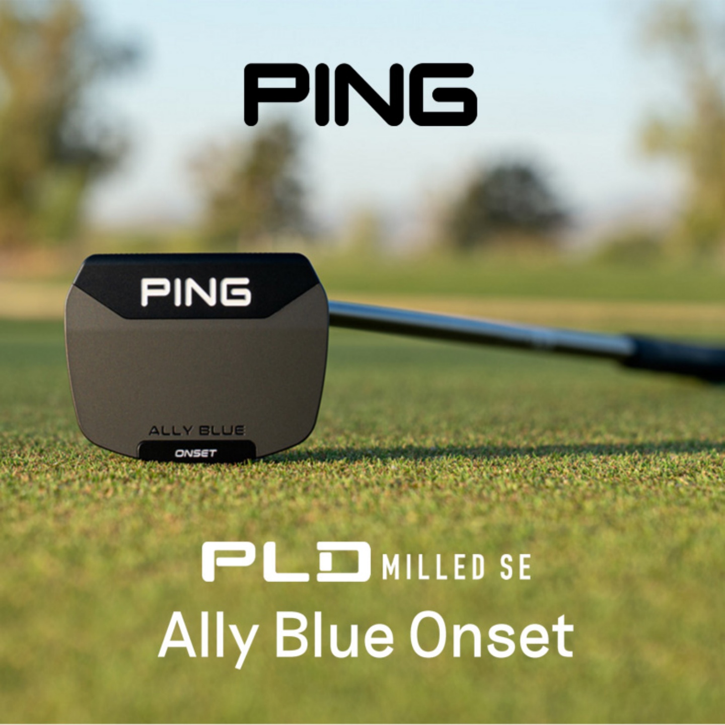 ping直插式小弧线推杆限量款