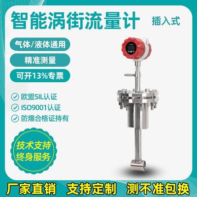 插入式流量计涡街蒸汽流量计传感器汽油氧氩电子防爆氮气数显气体