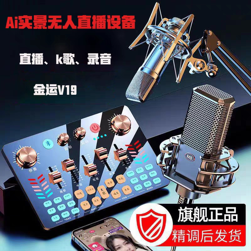 金运V19直播声卡设备全套主播录音唱歌专用电脑手机通用k歌麦克风