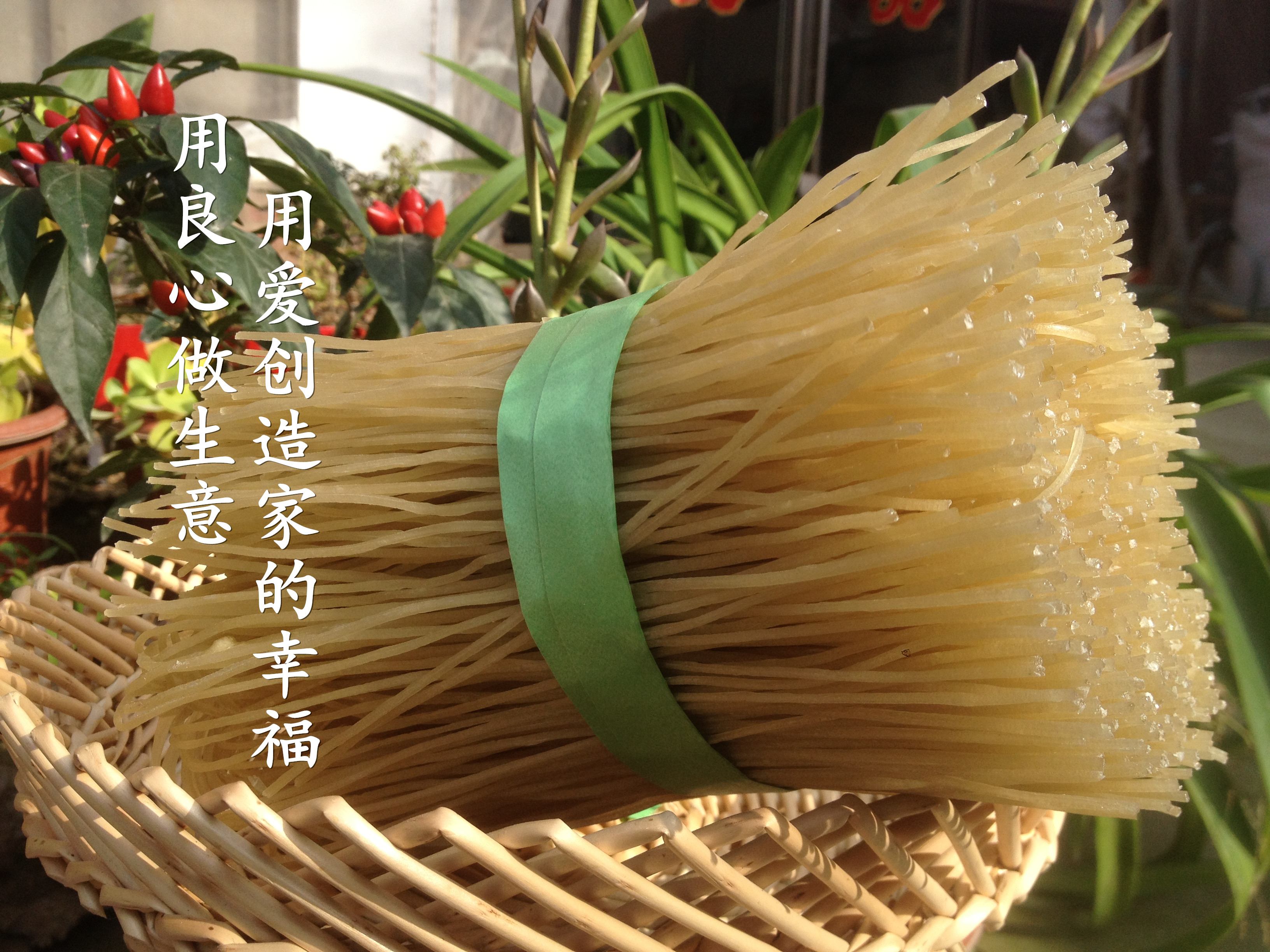 山东正宗红薯粉条1000g地瓜2件