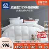 Dream Jie Baby Poland, импортированная 95 белого гуся вниз, была спускается зимой и была утолщена и утолщена антибактериальными детьми.