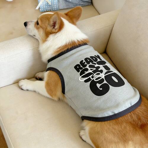 宠物狗狗衣服春夏款READY SET GO印花亲肤背心中型犬柯基柴犬法斗