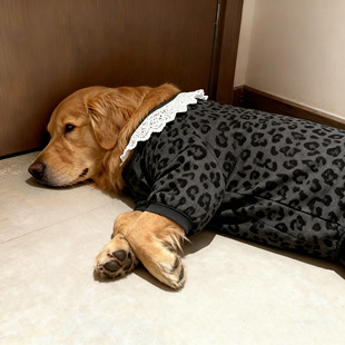 25狗狗新款 衣服防冻黑灰豹纹白色领口秋冬四脚衣金毛萨摩保暖