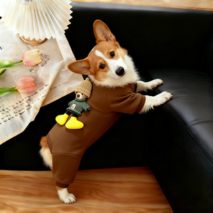 25狗狗新款 饰中型犬柯基法斗秋冬四脚衣 防冻深棕底立体卡通公仔装