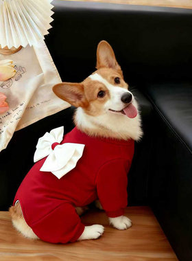 狗衣服冬季红色大蝴蝶结装饰宠物秋冬中型犬柯基法斗保暖四脚衣