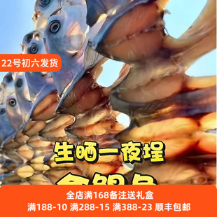 东莞虎门渔港特产金鲳鱼干一夜埕金昌鱼风干咸鱼金枪仓鱼干海干货