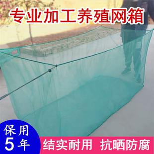 定做网箱养殖网专用养鱼存鱼小网箱水产黄鳝泥鳅水蛭鱼苗龙虾鱼网