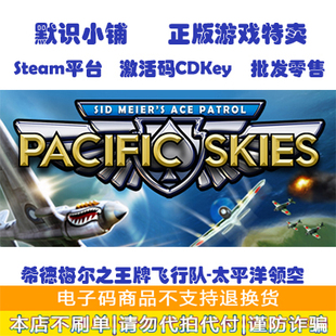 Ace Patrol Pacific 全球key steam Skies 王牌飞行队太平洋领空