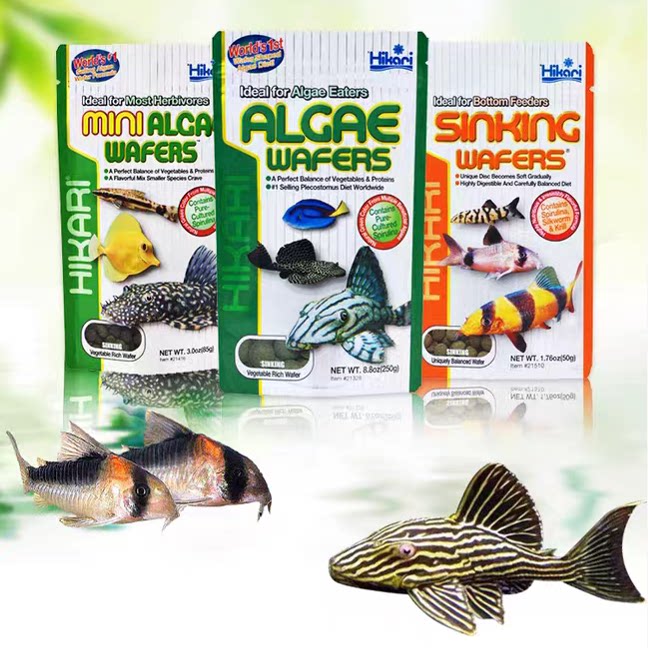 日本产Hikari高够力底栖鱼异型鱼肉食素食杂食鼠鱼小饼干圆饼包邮