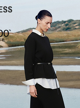 【商场同款】LESS2025年秋新款美丽诺羊毛套头针织衫女2P9318430