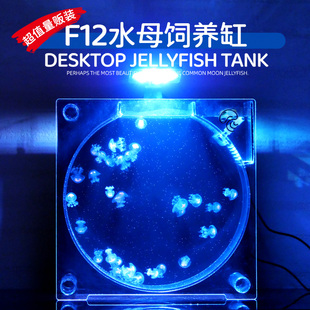 家庭水母饲养缸水母缸桌面展示缸水族生态鱼缸赤月海月摆摊养殖缸