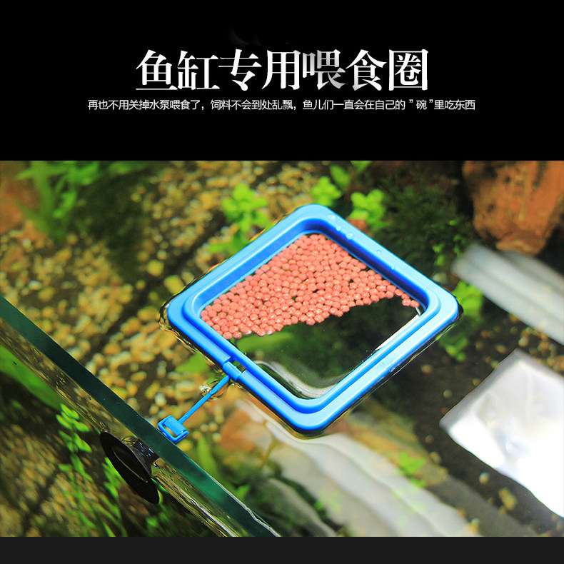 鱼缸投食圈鱼粮喂食鱼食投喂圈 鱼儿喂食圈   水族箱浮食圈带吸盘