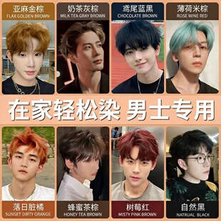 染发膏剂免漂男士专用树莓红蓝黑色流行棕色自己在家染头奶茶灰棕