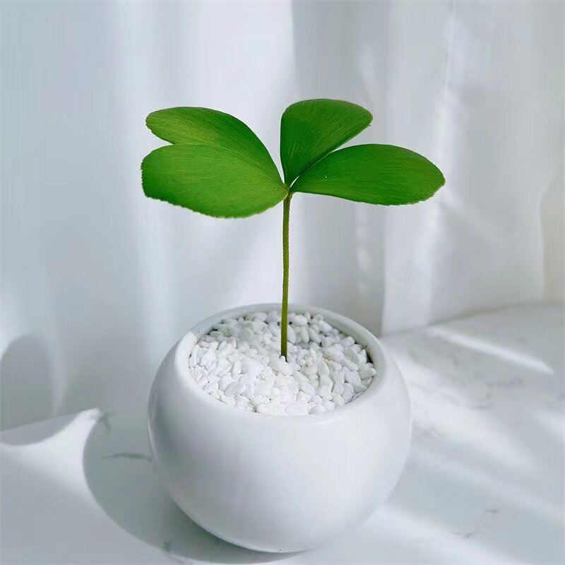 墨西哥铁树四叶幸运草办公室内电脑桌面绿植花卉迷你盆栽吸甲醛