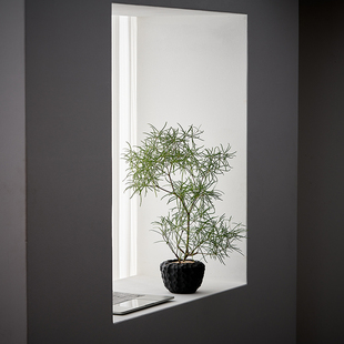 中古侘寂风造型柳叶麒麟植物茶室内装饰好养盆栽净化空气绿植