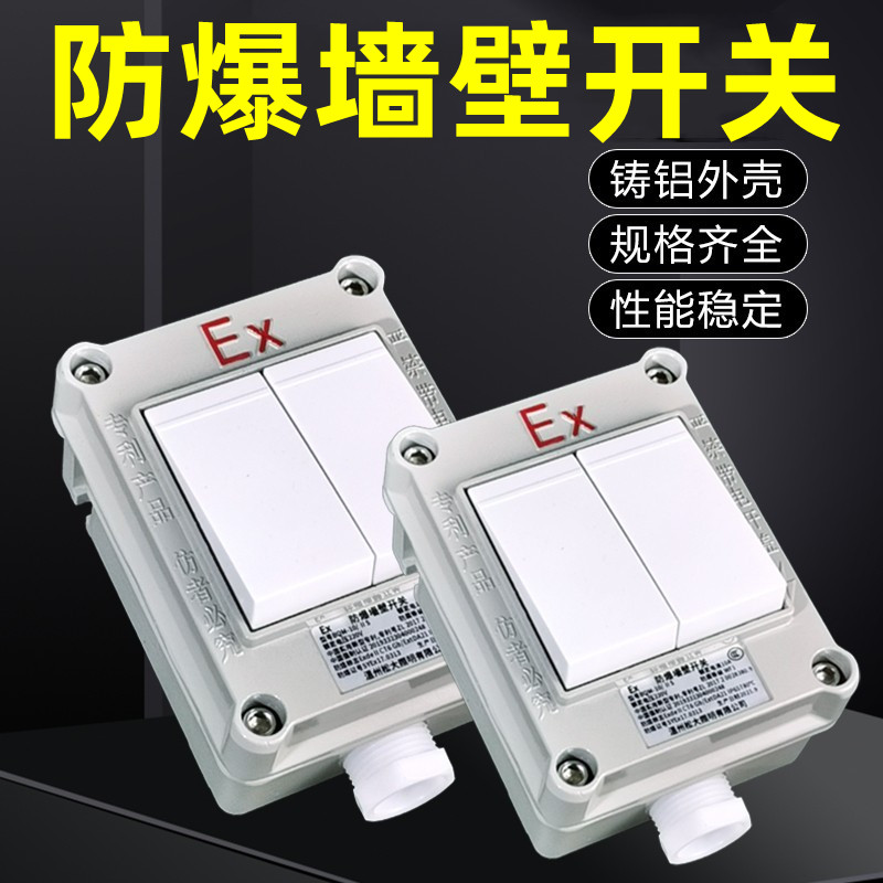 防爆开关220V10A明装暗装墙壁86型开关插座五孔十孔工业照明旋转