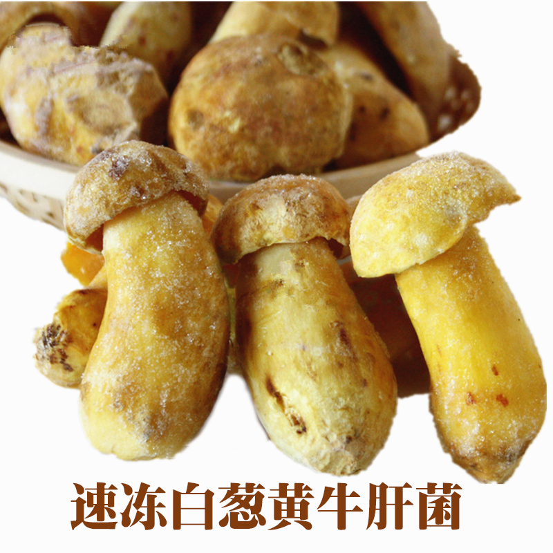 新鲜黄牛肝菌1kg云南特产素食野生菌见手青蘑菇冰鲜火锅速冻白葱