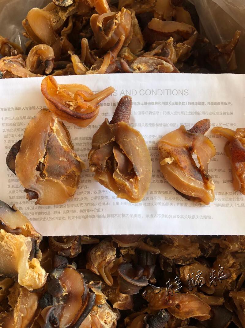 28头左右响螺嘴500g响螺头干货海螺肉即食香螺干鲍螺肉海产品煲汤