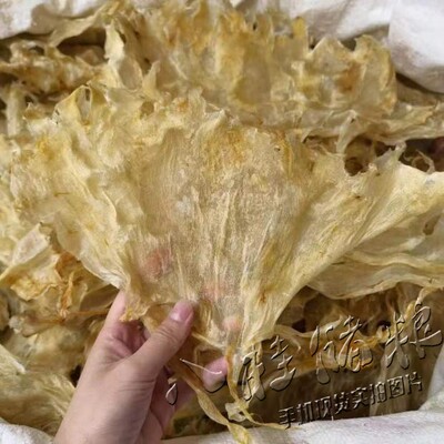 8头大鲶鱼胶干货500g扇子胶孕妇鱼胶片鱼泡鱼肚即食花胶鸡汤鱼鳔