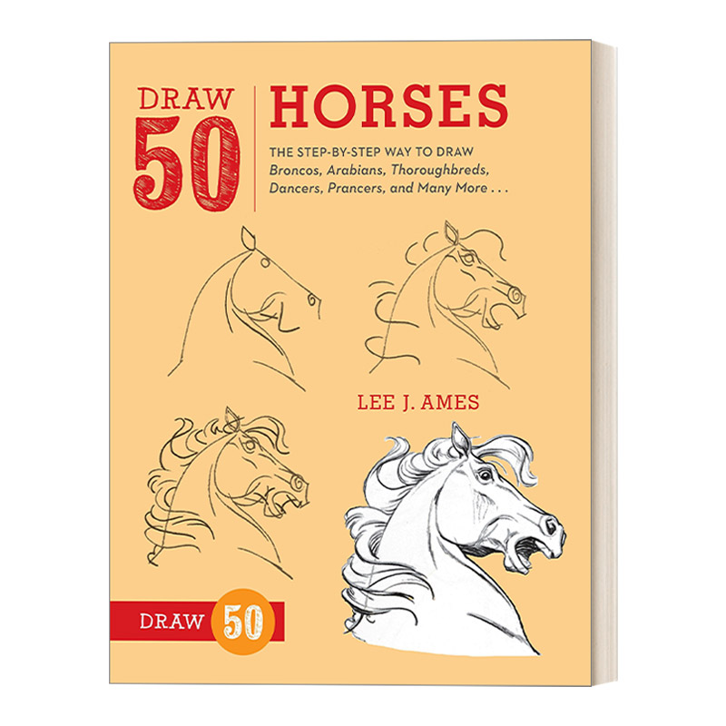 英文原版趣味绘画技巧指南