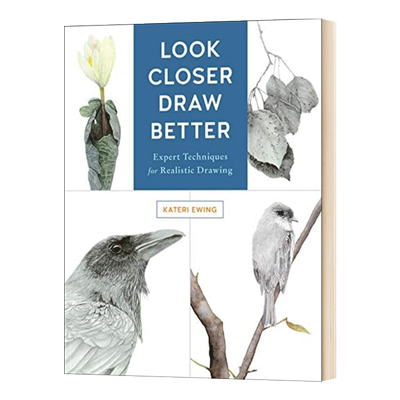 英文原版 Look Closer  Draw Better 看得更近 画得更好 写实绘画的专家技术 英文版 进口英语原版书籍