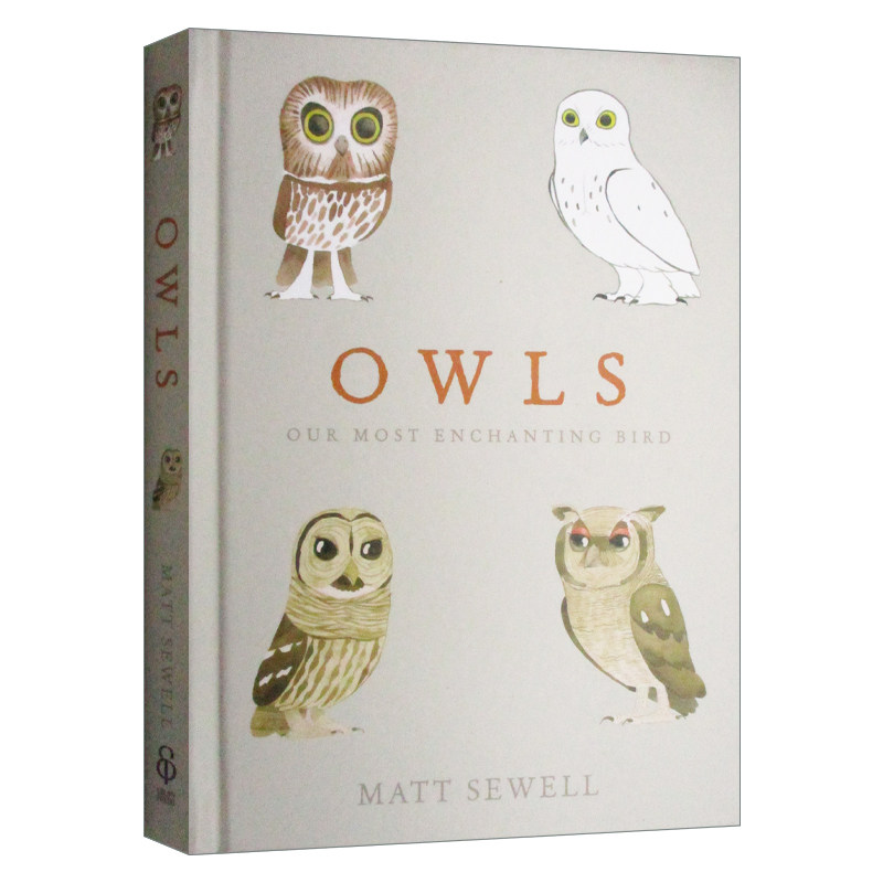 Owls 我们迷人的鸟 猫头鹰科普绘本 马特·休厄尔 精装进口原版英文书籍