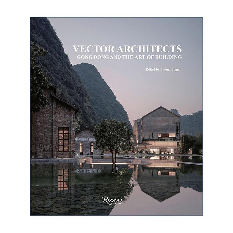英文原版 Vector Architects 直向建筑设计事务所 董功与建筑艺术 作品集 精装摄影艺术图册 英文版 进口英语原版书籍